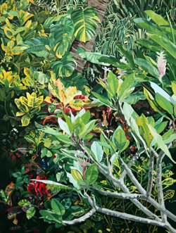 The Rarotongan Garden Paintings Gallery