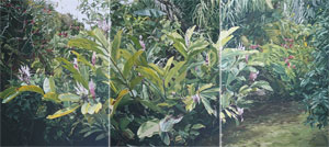 The Rarotongan Garden Paintings Gallery